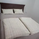 Cute Suite